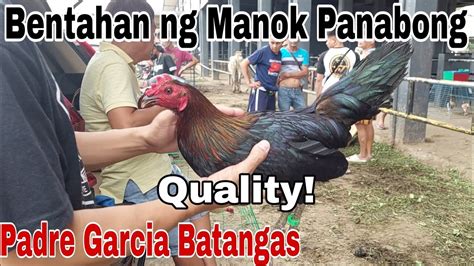 MGA QUALITY ANG MANOK! Bentahan ng Manok Panabong sa .